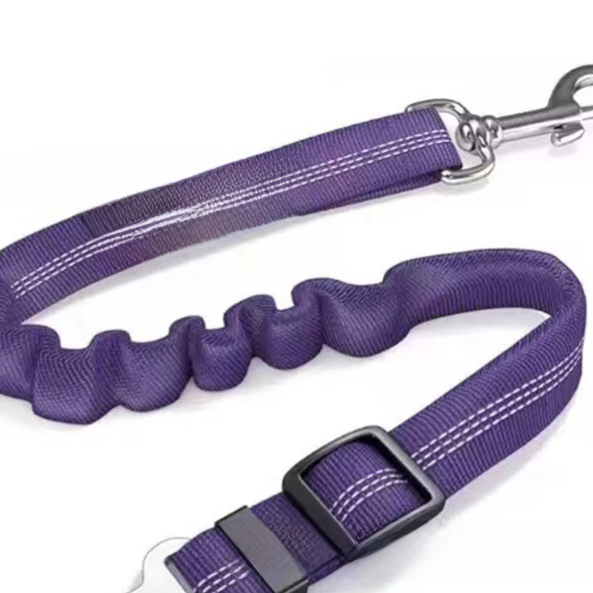Vauloria Cloudpaw Leash