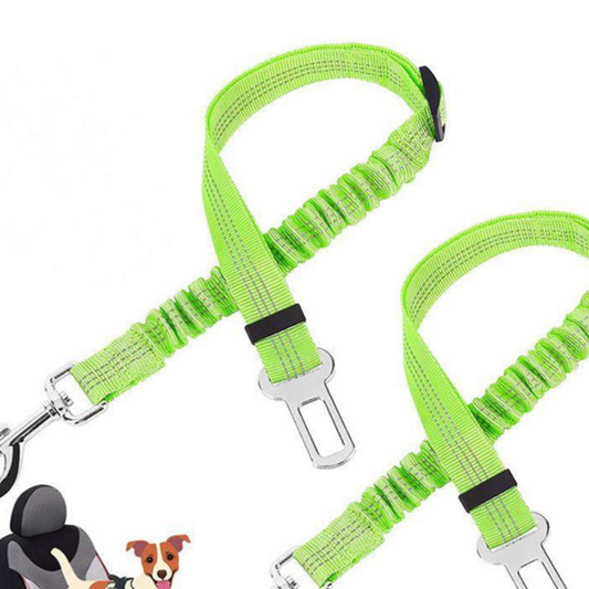 Vauloria Cloudpaw Leash