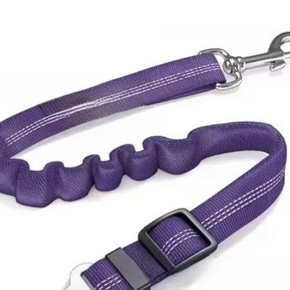 Vauloria Cloudpaw Leash