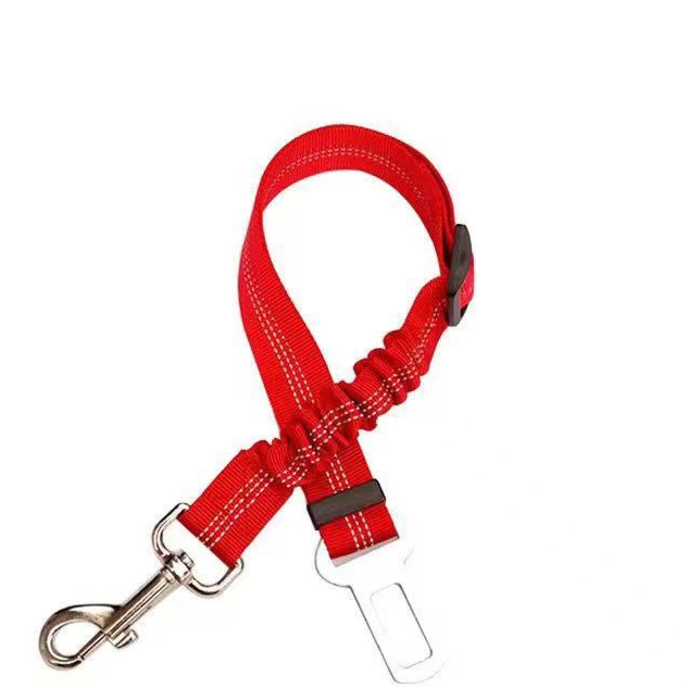 Vauloria Cloudpaw Leash