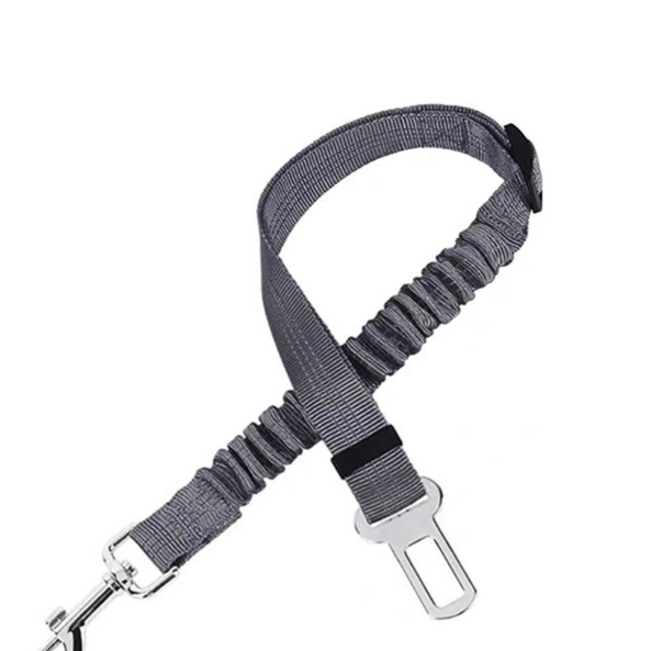 Vauloria Cloudpaw Leash