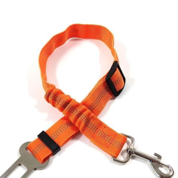 Vauloria Cloudpaw Leash