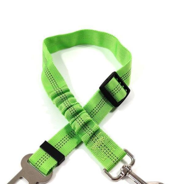 Vauloria Cloudpaw Leash