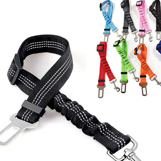 Vauloria Cloudpaw Leash