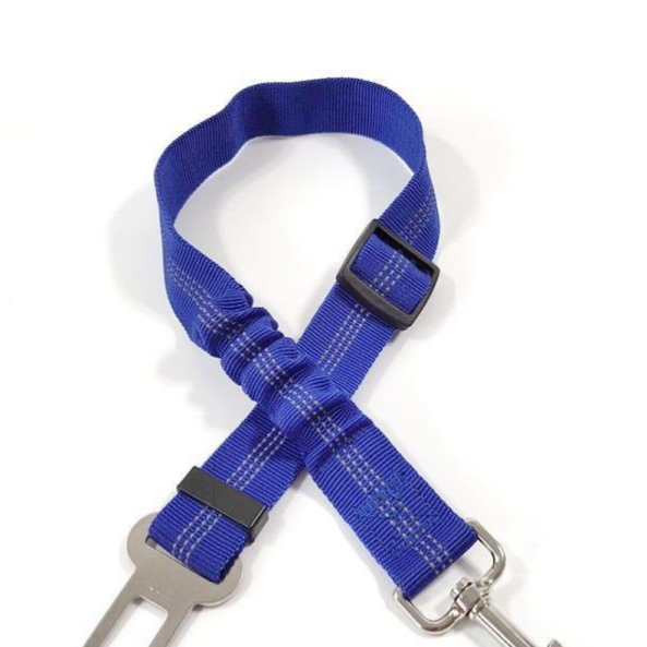 Vauloria Cloudpaw Leash